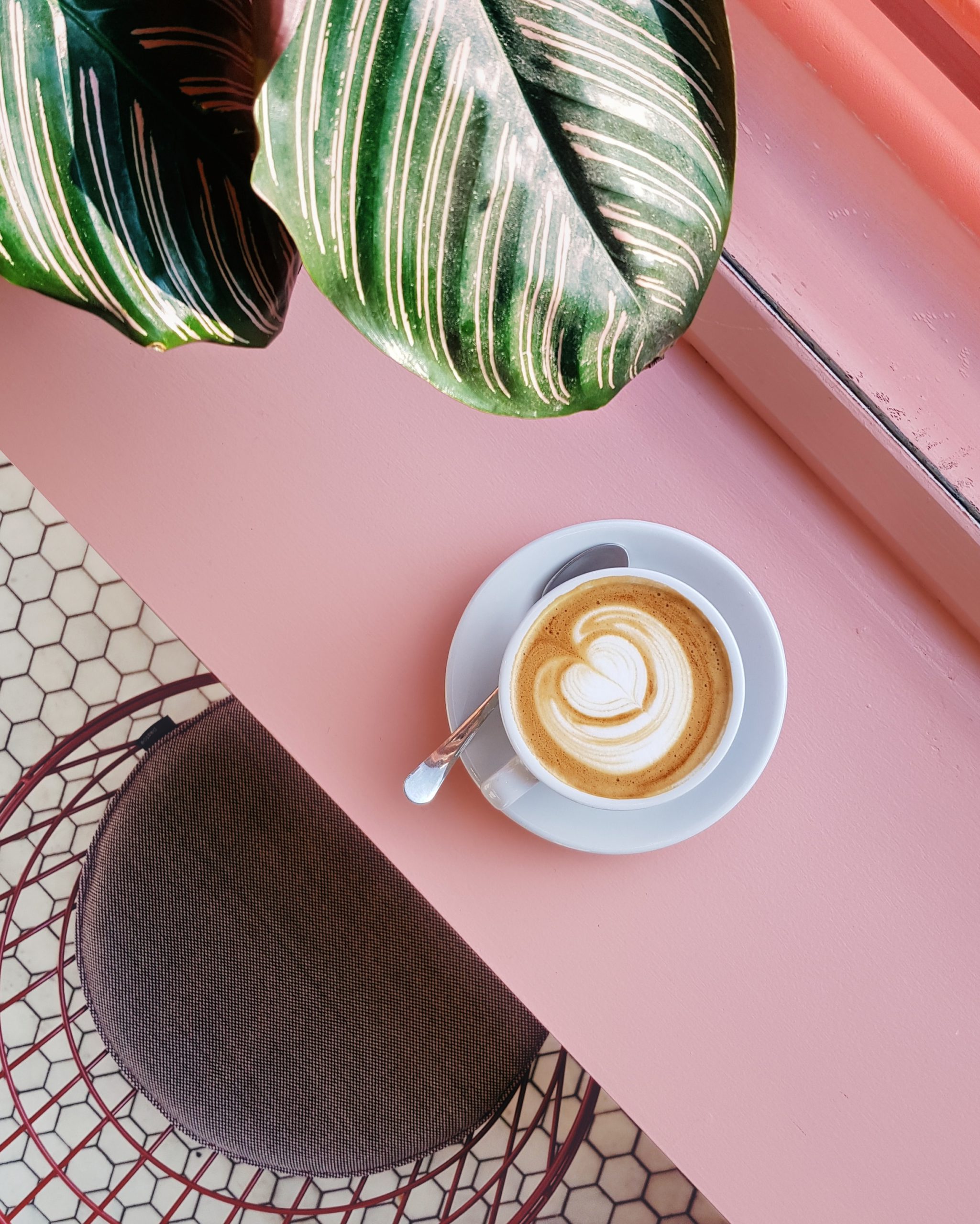 Does Coffee Produce Butyrate?