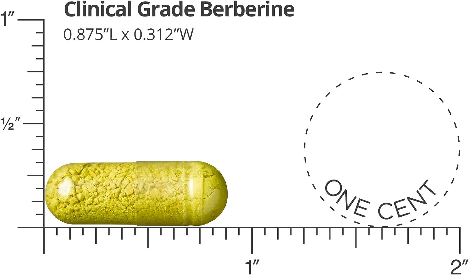 Dr. Whitaker Berberine Supplement | 1,500mg Per Daily Serving | 30 Day Supply
