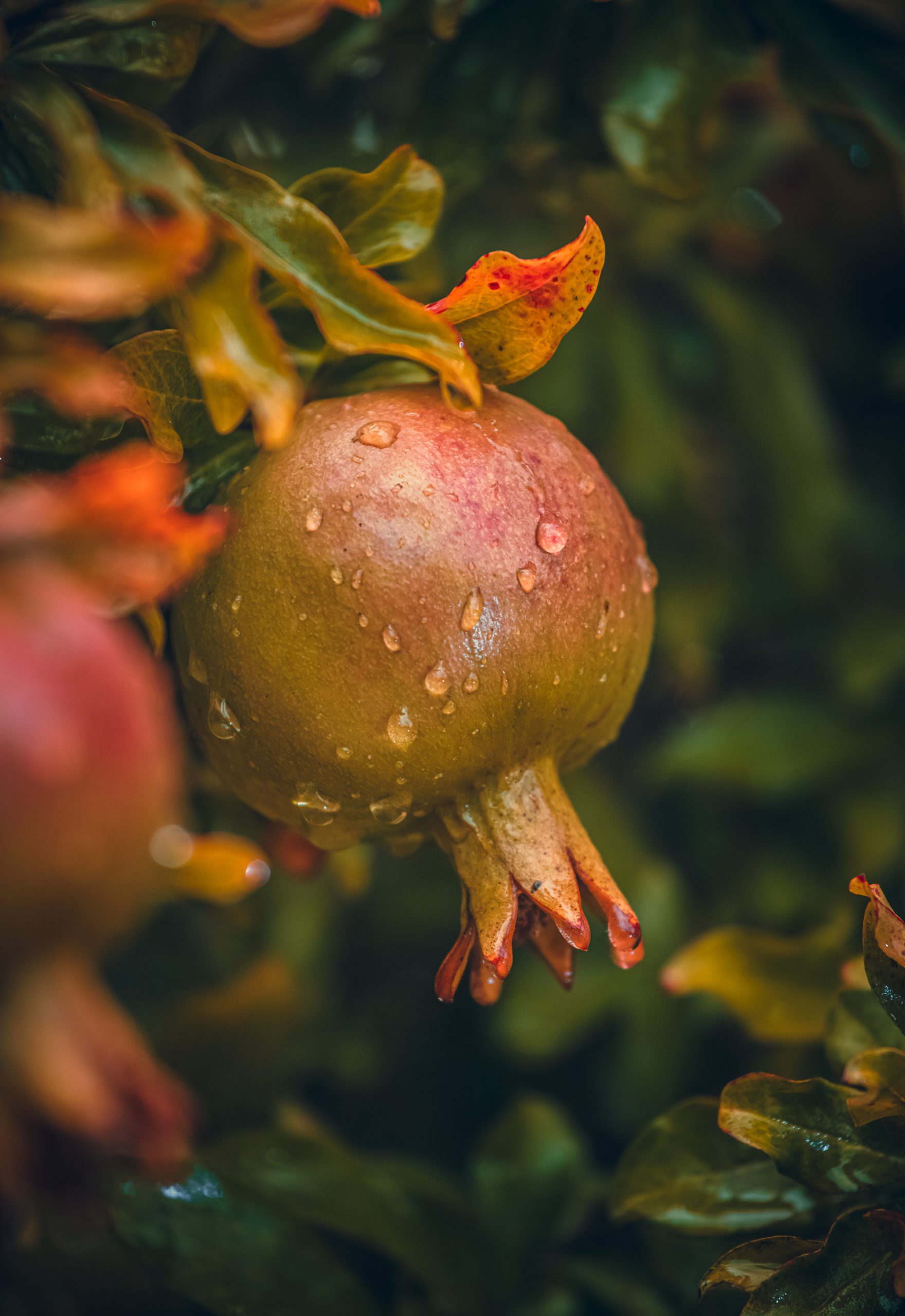 Is N Acetyl L Cysteine An Anti-inflammatory?