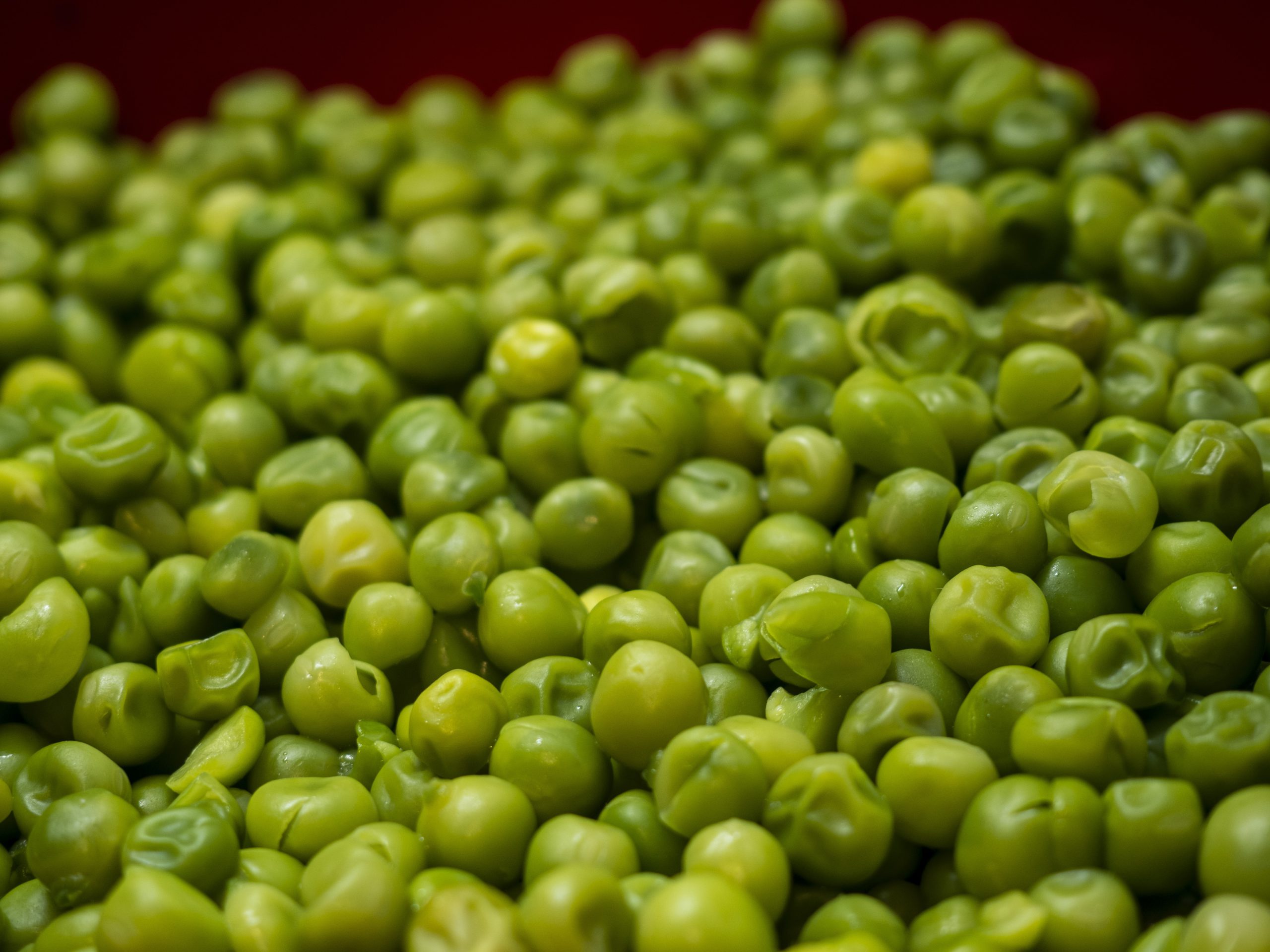 Is PEA Supplement Anti-inflammatory?