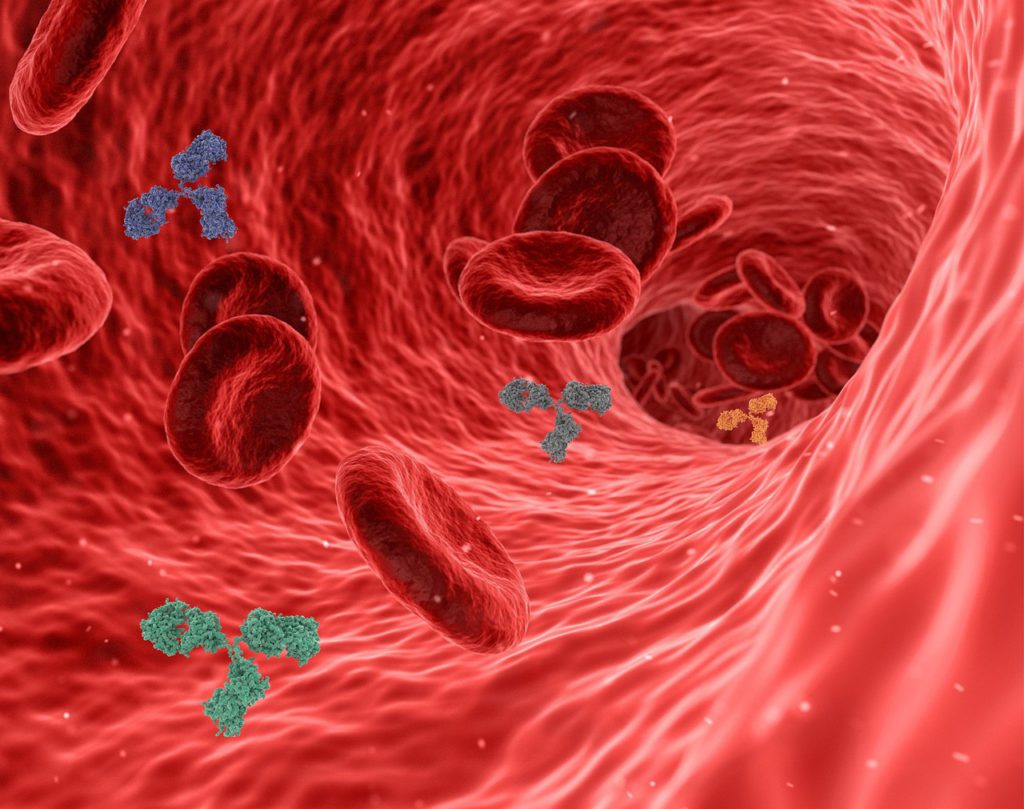 Exploring the Benefits of Quercetin as an Immune Booster