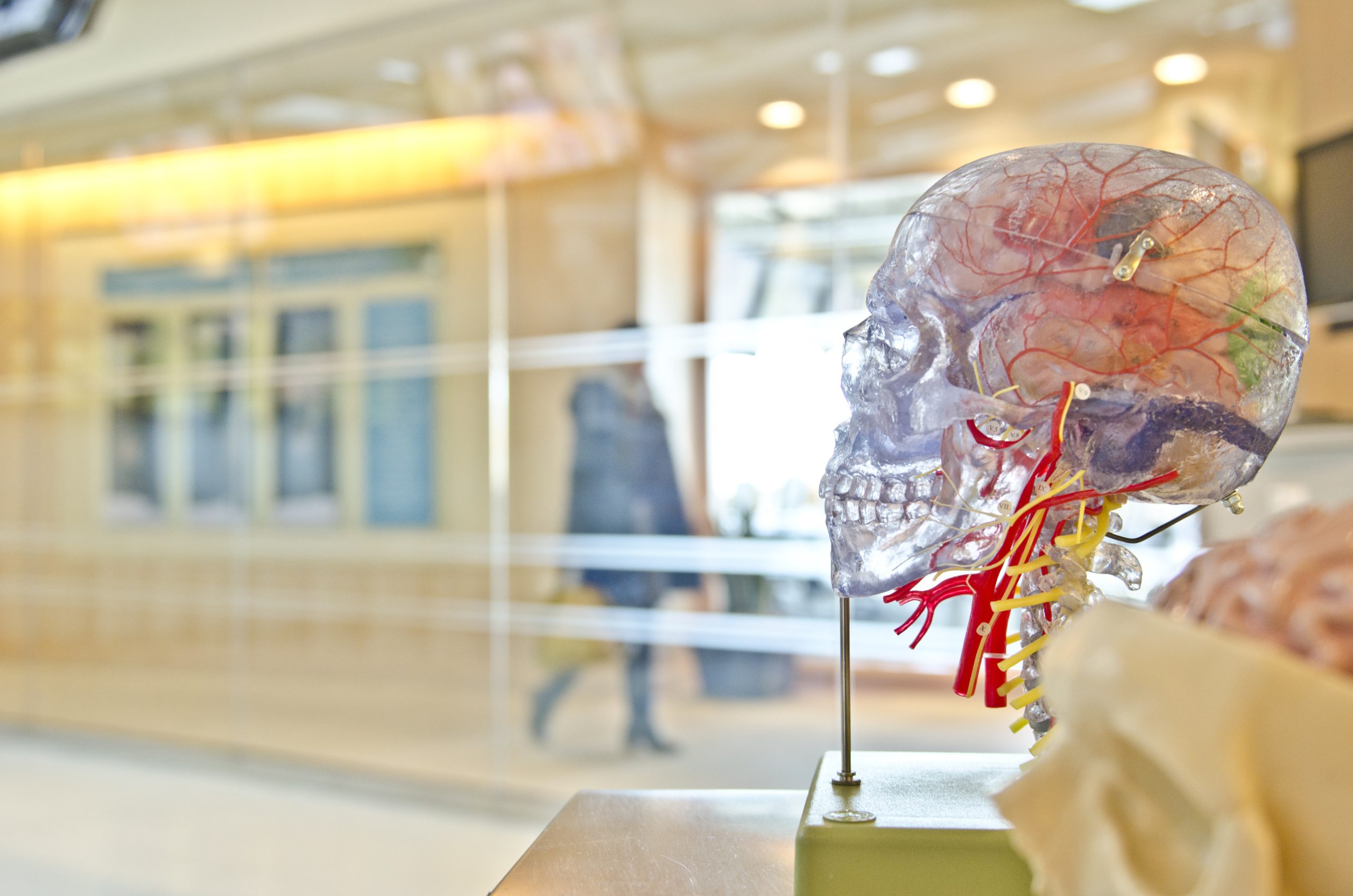 What Does PEA Do To The Brain?