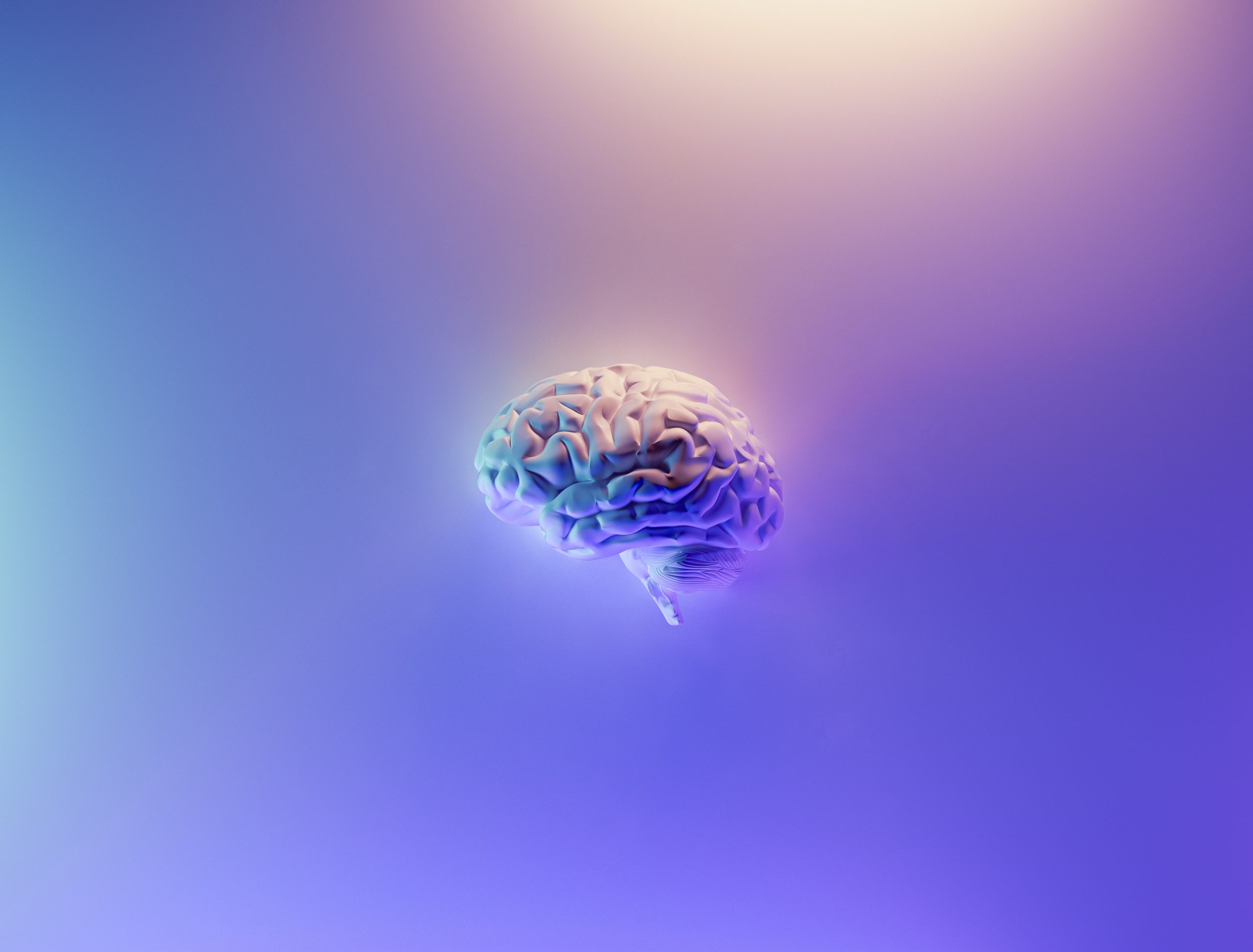 What Does PEA Do To The Brain?