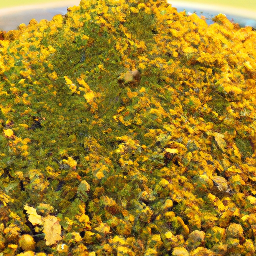 What Effects Does Berberine Have On The Brain?