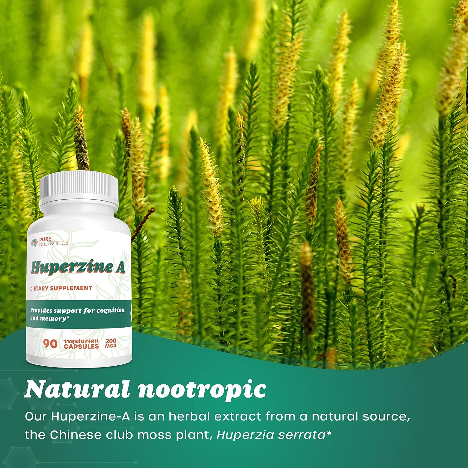 Pure Nootropics Huperzine A 200 mcg – Cognitive and Memory Support – 90 Vegetarian Capsules