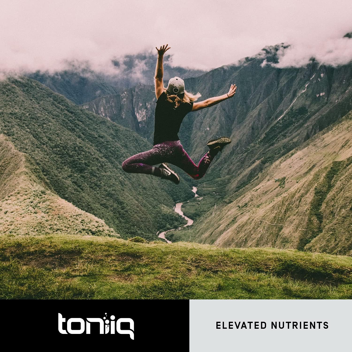 Toniiq Ultra High Purity Quercetin Capsules - 95%+ Highly Purified and Highly Bioavailable - 1000mg Per Serving - 120 Capsules Quercetin Supplement